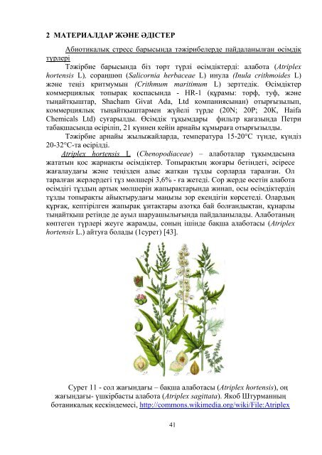 dissertacia-myrzabaeva.pdf