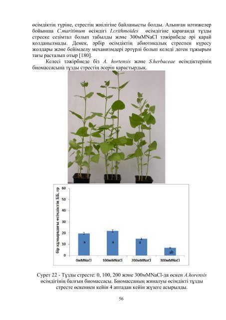 dissertacia-myrzabaeva.pdf