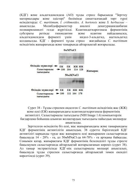 dissertacia-myrzabaeva.pdf