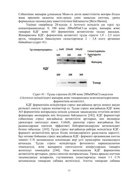 dissertacia-myrzabaeva.pdf