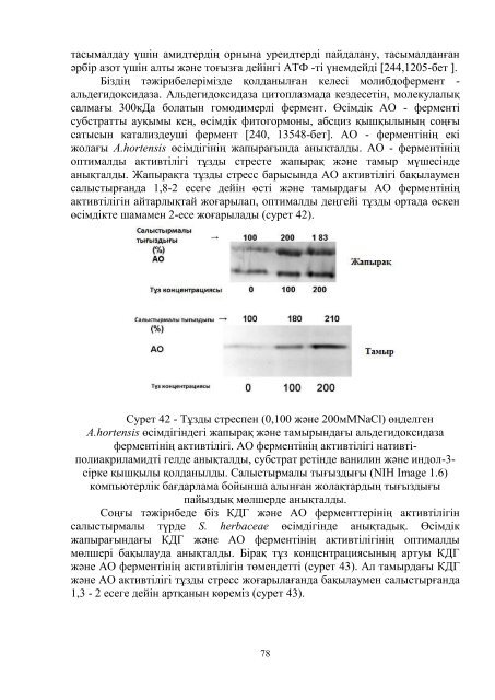 dissertacia-myrzabaeva.pdf