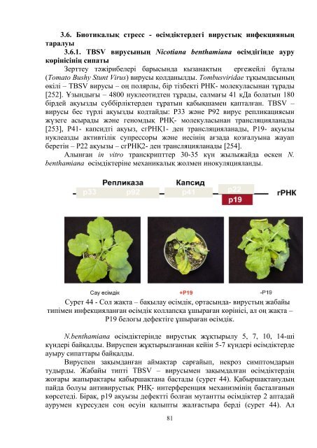 dissertacia-myrzabaeva.pdf