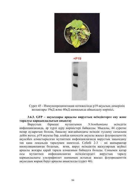 dissertacia-myrzabaeva.pdf