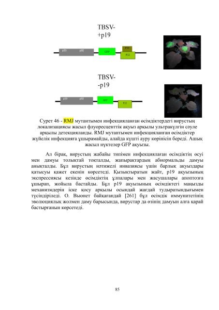 dissertacia-myrzabaeva.pdf