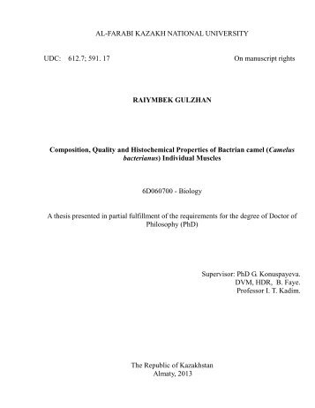 dissertacia-gulzhan.pdf