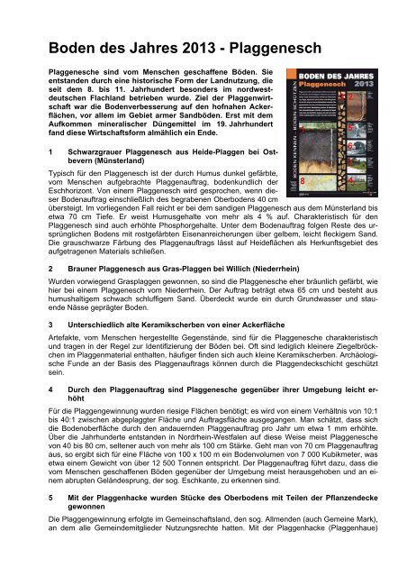 Boden des Jahres 2013 - Plaggenesch - Geologischer Dienst NRW