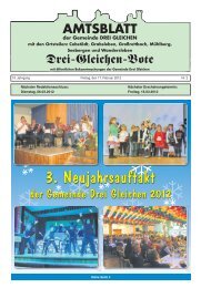 3. Neujahrsauftakt - Gemeinde Drei Gleichen