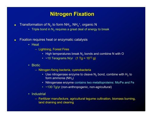 Nitrogen Dynamics