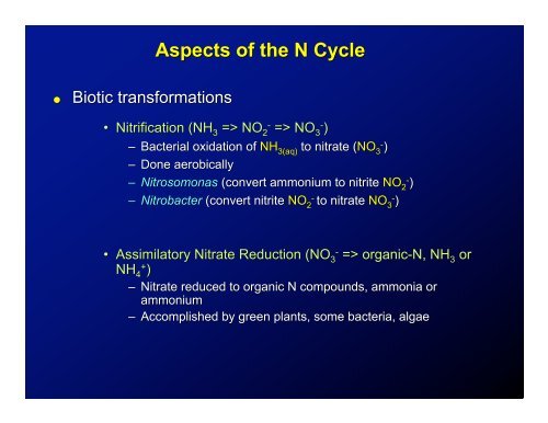 Nitrogen Dynamics