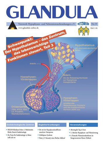 **Glandula 19 - Netzwerk Hypophysen- und ...