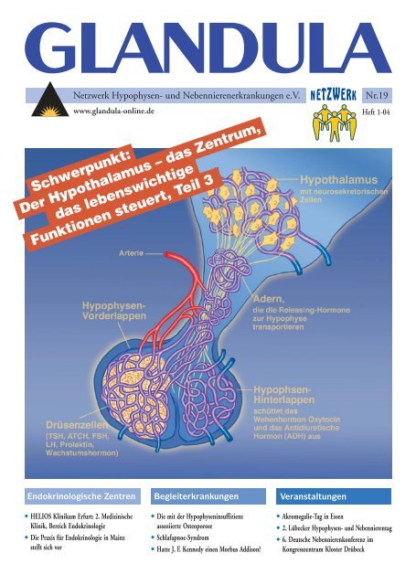 **Glandula 19 - Netzwerk Hypophysen- und ...