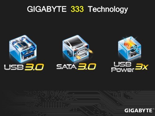 GIGABYTE Cloud OC - Goldfries