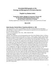 Mccandless Idealism Analysis Mccandless Idealism Analysis