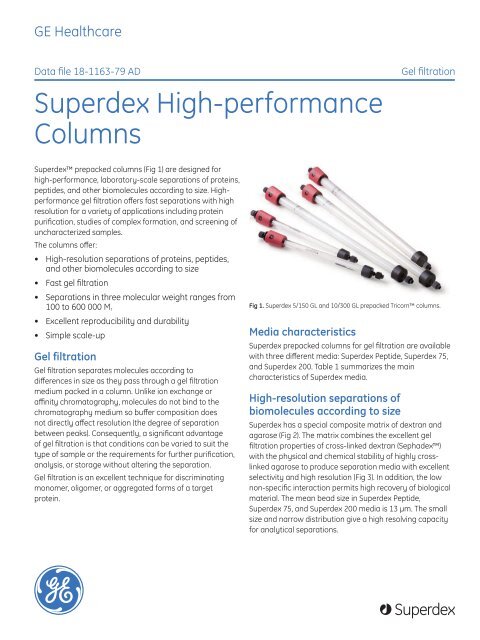 Superdex High-performance Columns