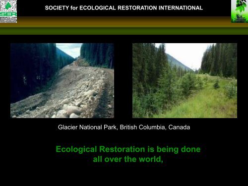 A Global View of Ecological Restoration and the Role of SER ...