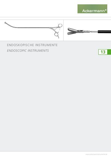 ENDOSKOPISCHE INSTRUMENTE ENDOSCOPIC INSTRUMENTS