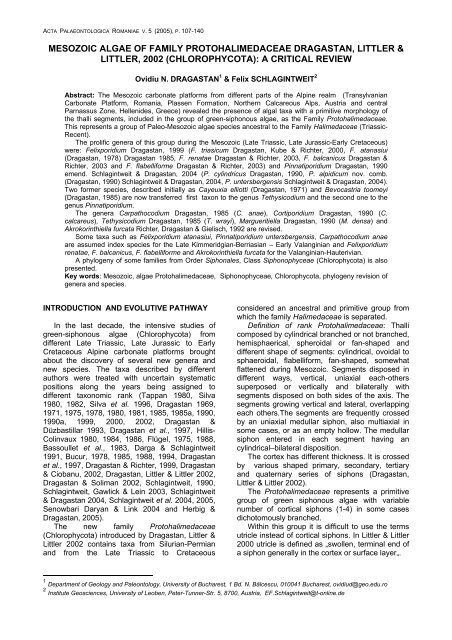 Mesozoic algae of Family Protohalimedaceae Dragastan, Littler ...