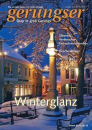 Winter 2006 - Groß Gerungs