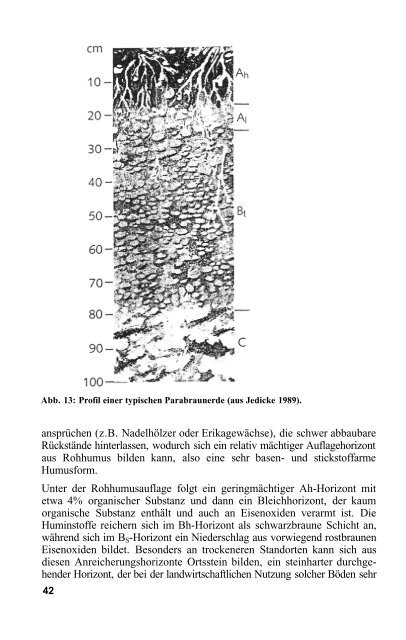 Das Verhalten von Umweltchemikalien in Boden und Grundwasser