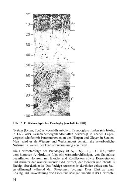 Das Verhalten von Umweltchemikalien in Boden und Grundwasser