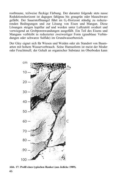 Das Verhalten von Umweltchemikalien in Boden und Grundwasser