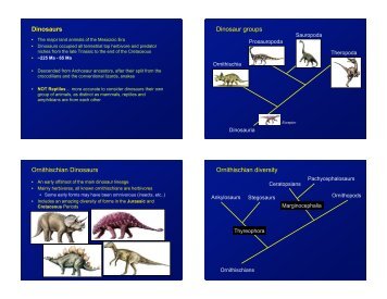 Dinosaurs Dinosaur groups Ornithischian Dinosaurs Ornithischian ...