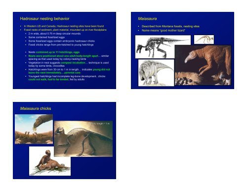 Dinosaurs Dinosaur groups Ornithischian Dinosaurs Ornithischian ...