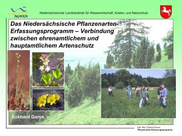 Das Niedersächsische Pflanzenarten-Erfassungsprogramm
