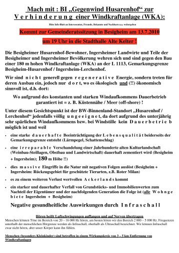 Infoblatt zur Besigheimer Gemeinderatssitzung am 13.7.2010...