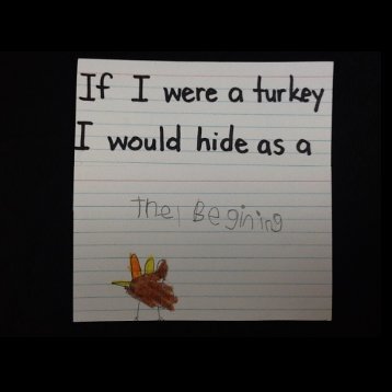 If I were a Turkey, I would hide as a...