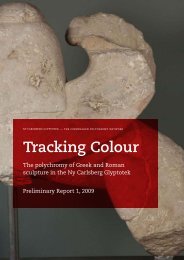 Tracking Colour - Ny Carlsberg Glyptotek