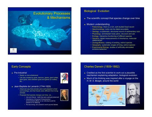 Show Evolution Process Evolutionary Processes & Mechanisms