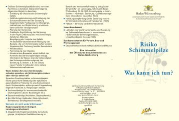 Risiko Schimmelpilze 2010 - Öffentlicher Gesundheitsdienst