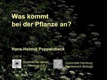 Die Praxis des botanischen Artenschutzes – Was kommt bei