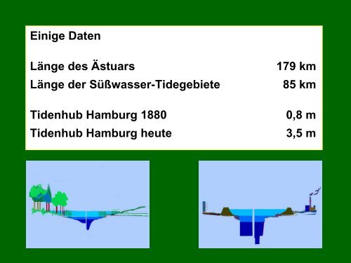 Die Praxis des botanischen Artenschutzes – Was kommt bei