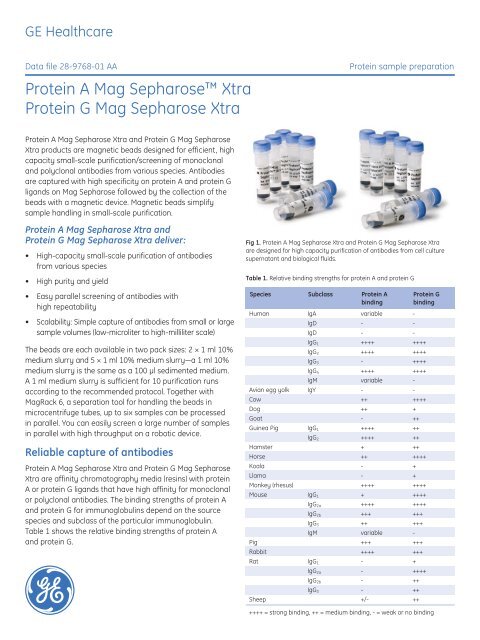 [PDF] Protein A / G Mag Sepharose Xtra