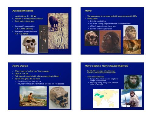 Anthropoids • More “H Anthropoids • More “H