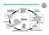 Nachwachsende Rohstoffe als Teil des geschlossenen ... - Gmehling
