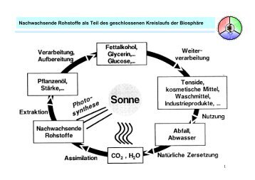 Nachwachsende Rohstoffe als Teil des geschlossenen ... - Gmehling