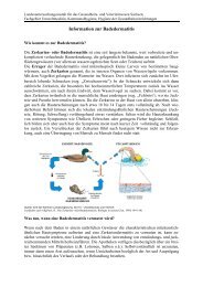 Information zur Badedermatitis - Gesunde Sachsen