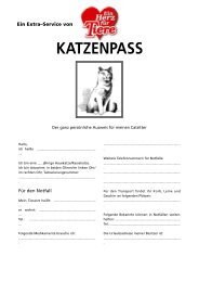 KATZENPASS - Geliebte Katze