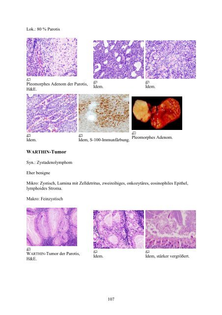 1. Einführung in die Pathologie - Wikimedia