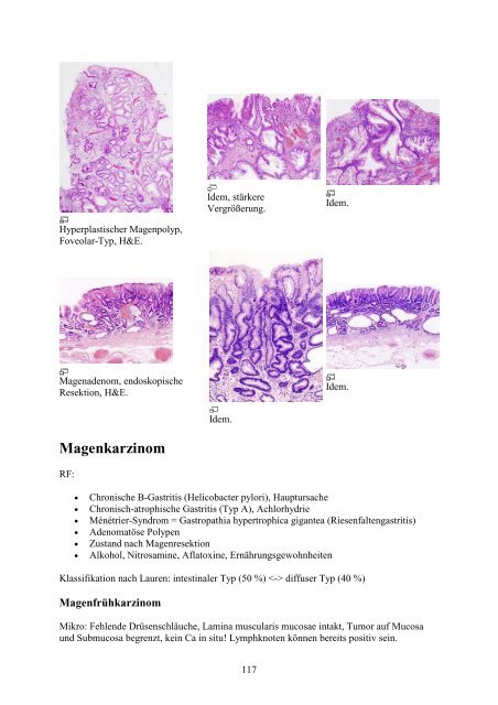 1. Einführung in die Pathologie - Wikimedia