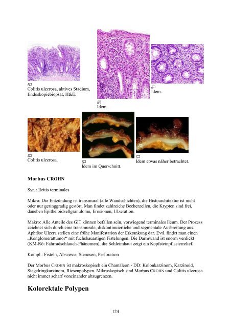 1. Einführung in die Pathologie - Wikimedia