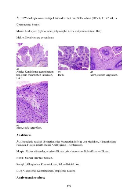 1. Einführung in die Pathologie - Wikimedia