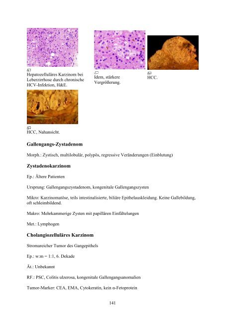 1. Einführung in die Pathologie - Wikimedia