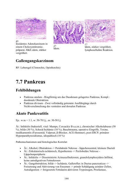 1. Einführung in die Pathologie - Wikimedia