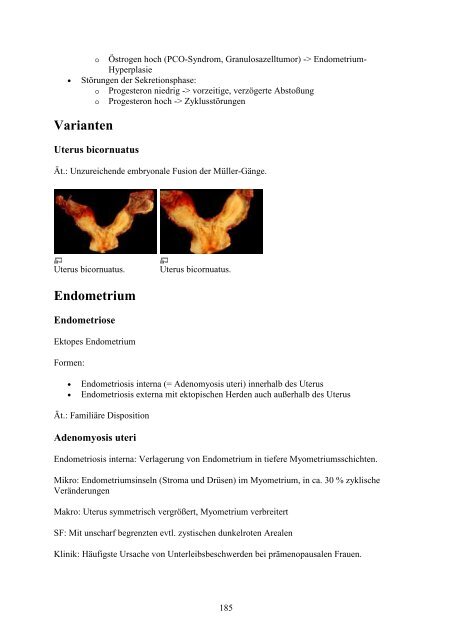 1. Einführung in die Pathologie - Wikimedia