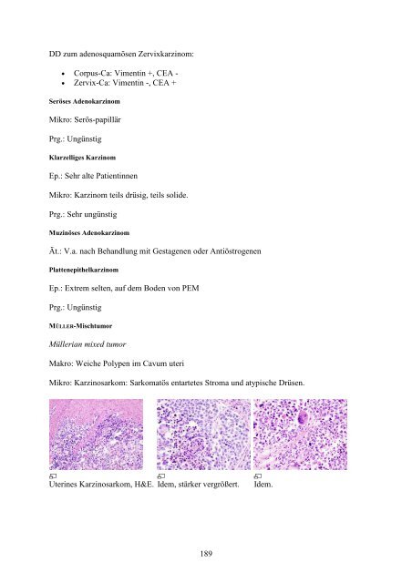 1. Einführung in die Pathologie - Wikimedia