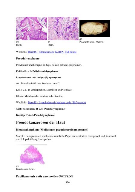 1. Einführung in die Pathologie - Wikimedia